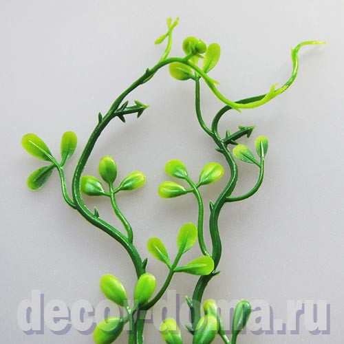 Вьюн, растение мини, 16 см