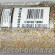 Блестки Cadence Glitter Powder, 45 мл, цвет 13 золото и серебро голографик Блестки Cadence Glitter Powder, 45 мл, цвет 13 золото и серебро голографик