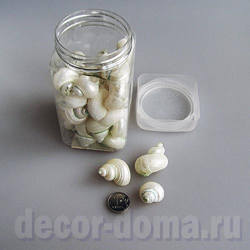 Ракушки натуральные, 180 г, цвет перламутровый Ракушки натуральные, 180 г, цвет перламутровый