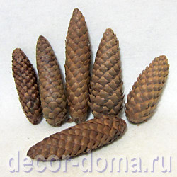 Шишки еловые натуральные, 6 шт. Шишки еловые натуральные, 6 шт.