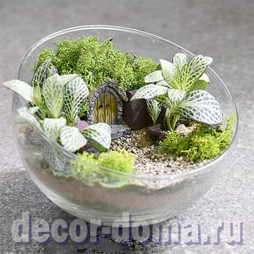 Ваза для флорариума, стекло, 12 см