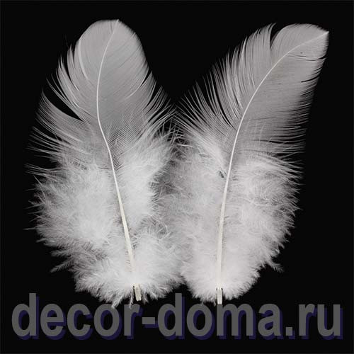 Перья для декора, 5-10 см, 3 г, цвет белый